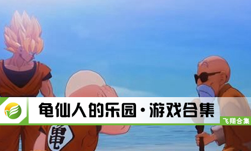 龟仙人的乐园