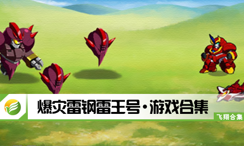 爆灾雷钢雷王号