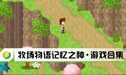 牧场物语记忆之种汉化版