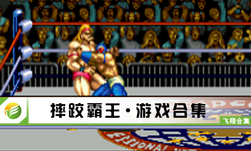 摔跤霸王