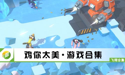 鸡你太美