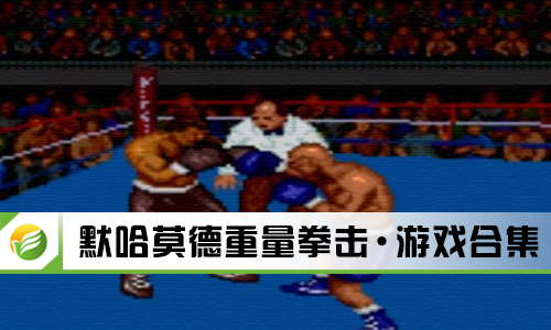 默哈莫德重量拳击
