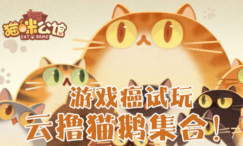 猫咪公馆