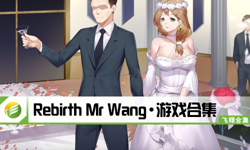 Rebirth Mr Wang