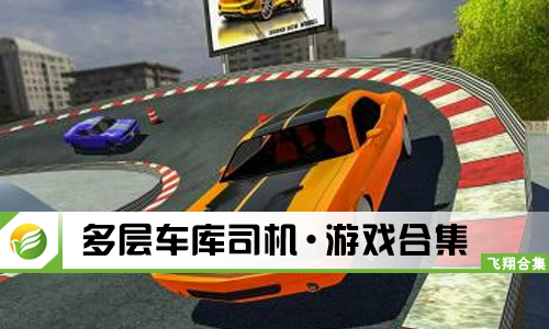 多层车库司机