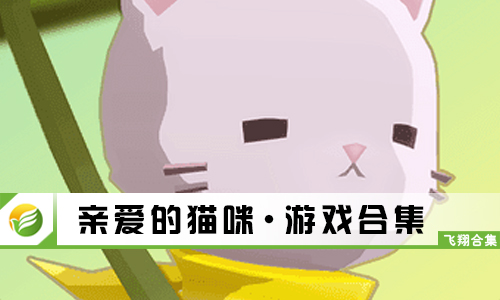 亲爱的猫咪