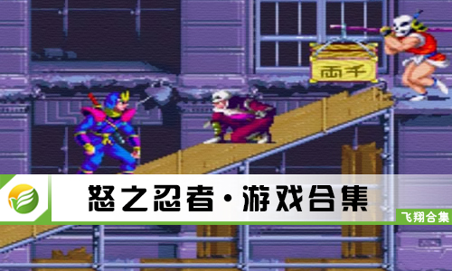 怒之忍者