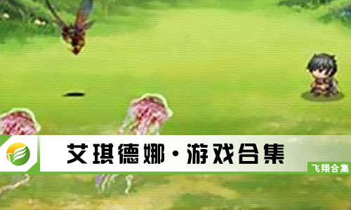 艾琪德娜