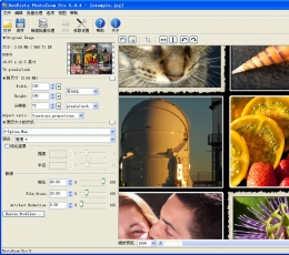 PhotoZoom(无损放大图片) V5.0.4 中文和谐绿色版