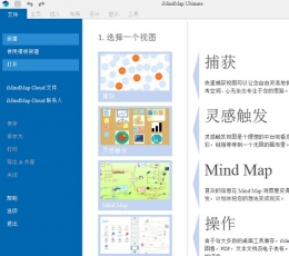 iMindMap 10 V10.1 电脑版
