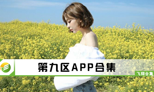 第九区