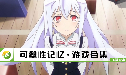 可塑性记忆