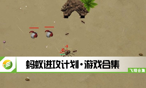 蚂蚁进攻计划