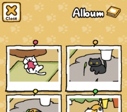 猫咪后院无限鱼干 V1.12.1 免费版