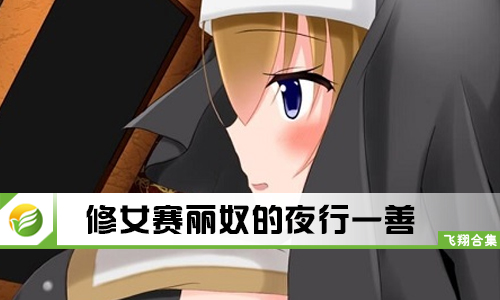 修女赛丽奴的夜行一善