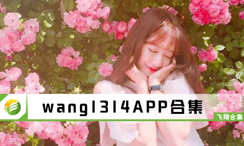 wang1314