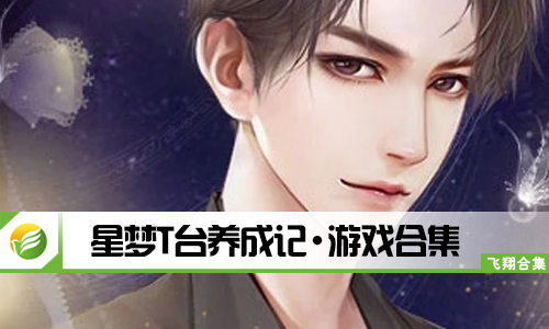 星梦T台养成记