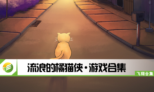 流浪的橘猫侠