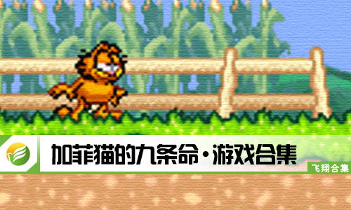 加菲猫的九条命