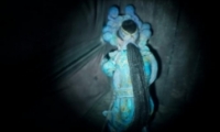 ֽ2ӡ