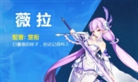 ʥԼޱǿȷ