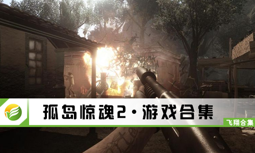 孤岛惊魂2