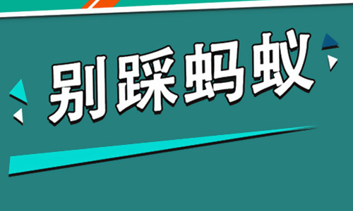 别踩蚂蚁