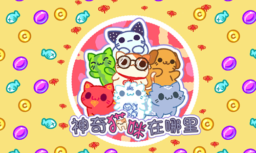 神奇猫咪在哪里