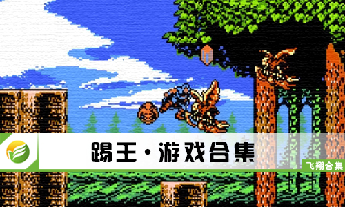 踢王