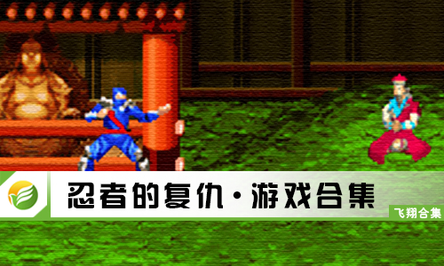 忍者的复仇