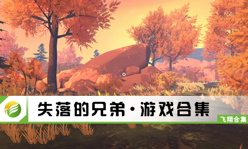 失落的兄弟