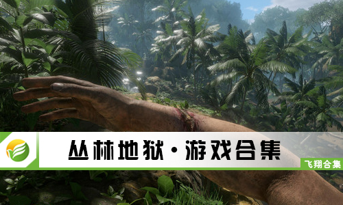 丛林地狱
