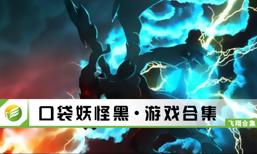 口袋妖怪黑