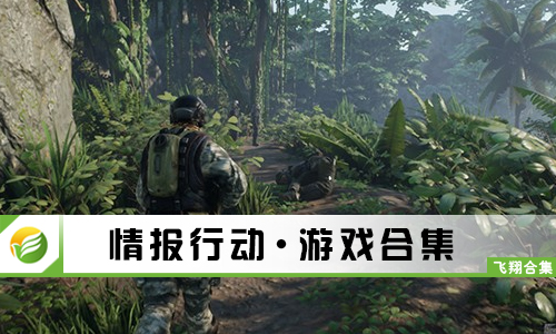 情报行动
