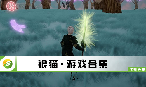 银猫