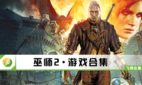 巫师2国王刺客