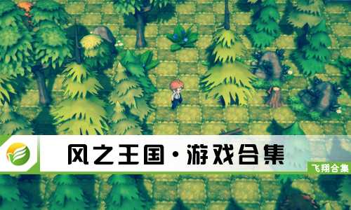 风之王国