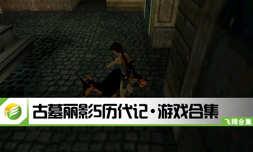古墓丽影5历代记