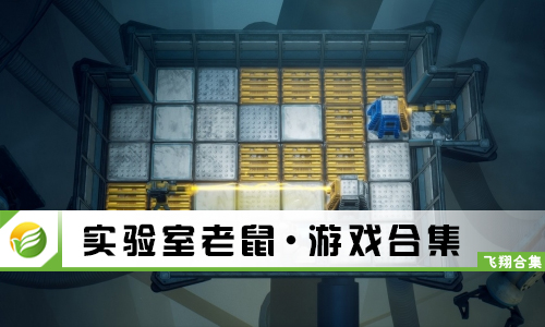 实验室老鼠
