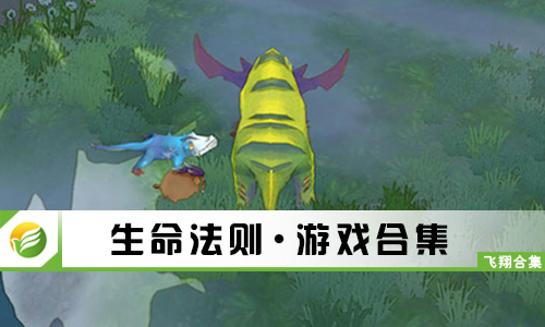 生命法则