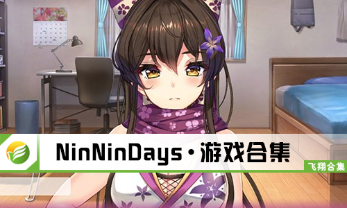 NinNinDays