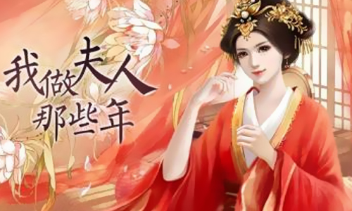 我做夫人那些年