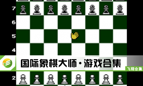 国际象棋大师