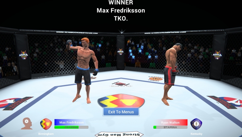 MMAֲ