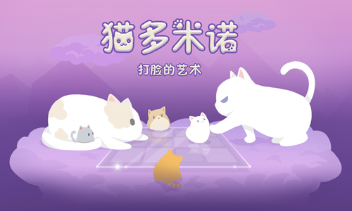 猫多米诺打脸的艺术