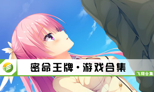 密命王牌