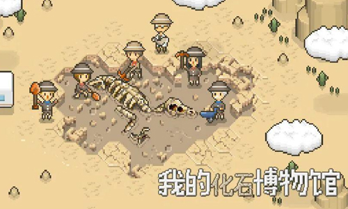 我的化石博物馆