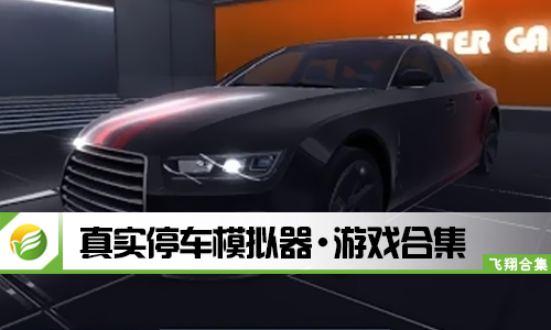 真实停车模拟器
