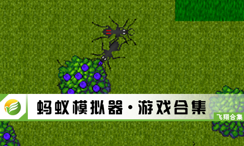 蚂蚁模拟器
