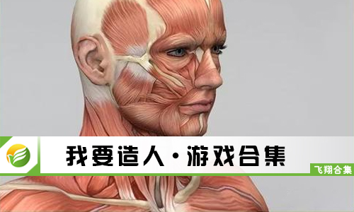 我要造人